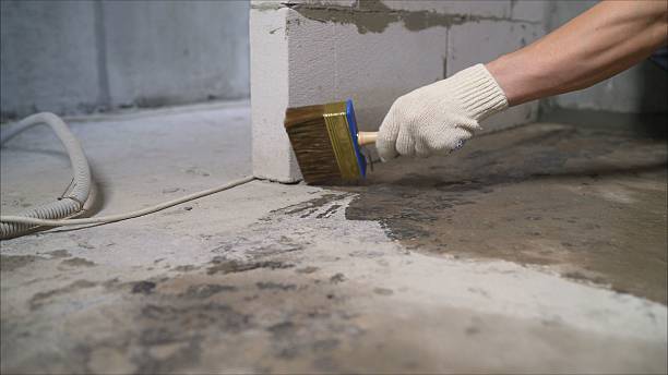 SJ Waterproofing Pros Emergency Waterproofing coverage map for Ferndale, MI and surrounding area